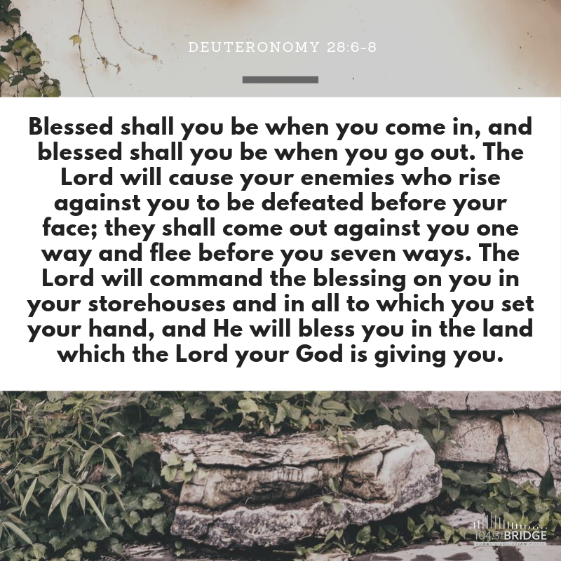 Deuteronomy 28:6-8