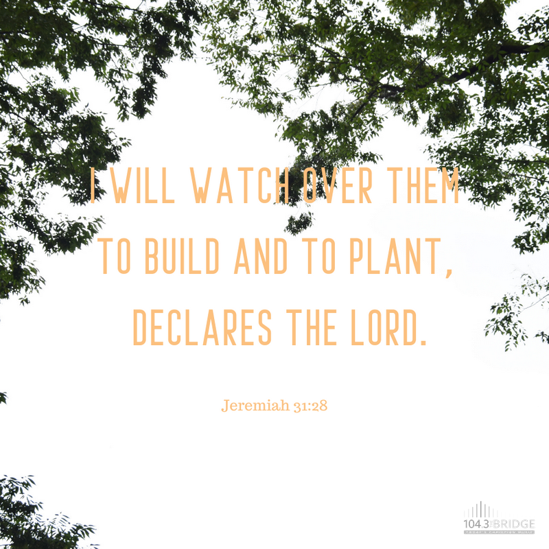 Jeremiah 31:28