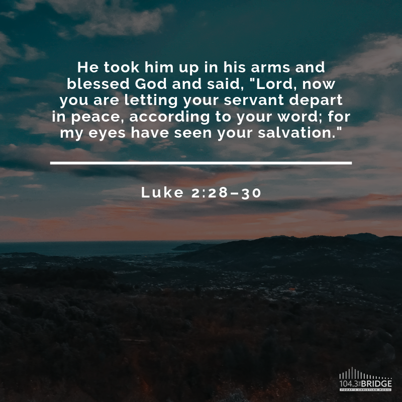 Luke 2:28-30        