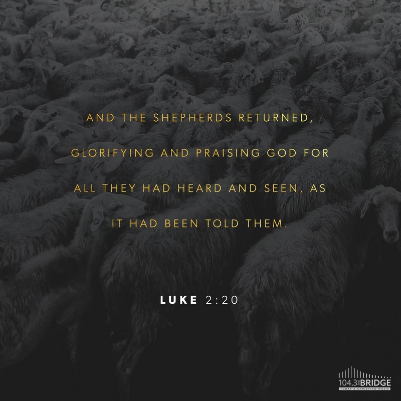 Luke 2:20